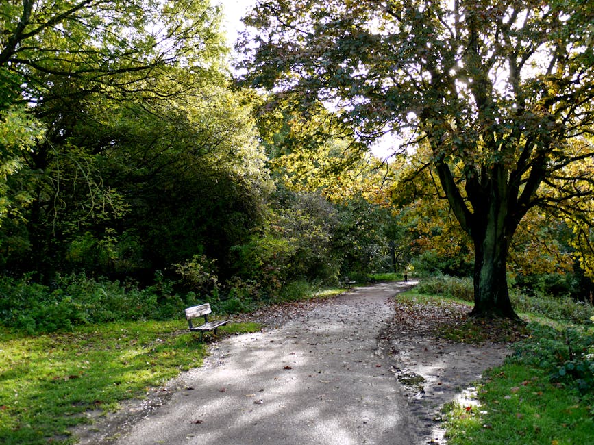 A dirt pathway winding through a wooded area with lush green trees and shrubs on either side. On the left side of the path, there is a weathered wooden bench with a light-colored finish, positioned slightly off the trail, partially shaded by surrounding foliage. The trees have thick trunks and a mix of green and yellow leaves, indicating a transition into autumn. Sunlight filters through the canopy overhead, casting dappled shadows along the uneven ground, which shows signs of recent rainfall with wet patches and small puddles. In the background, the path continues into the distance, curving gently to the right, with a person walking further along the trail. The overall setting appears calm and natural, typical of a park or nature reserve, with no visible litter or debris, but the scene relates to the practice of outdoor waste clearance, such as rubbish removal, often necessary in maintaining such environments. The scene subtly emphasizes the importance of private or independent waste handling in natural spaces, aligning with rubbish removal services like those offered by Rubbish Removal Hampstead.